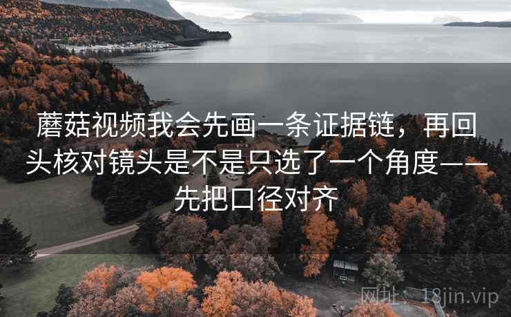 蘑菇视频我会先画一条证据链，再回头核对镜头是不是只选了一个角度——先把口径对齐